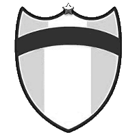A.s.d. Minieri King elettrica